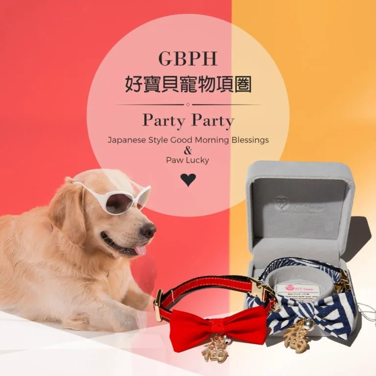好寶貝寵物項圈 Party Party 歡樂派對系列：戴著墨鏡的黃金獵犬和日式早安祈福、旺旺來福項圈