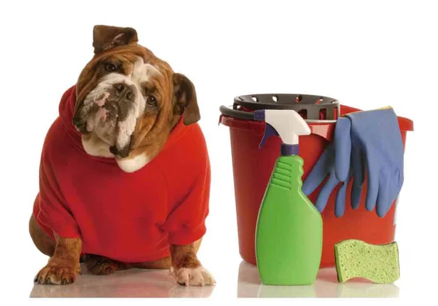 居家消臭抑菌 系列商品